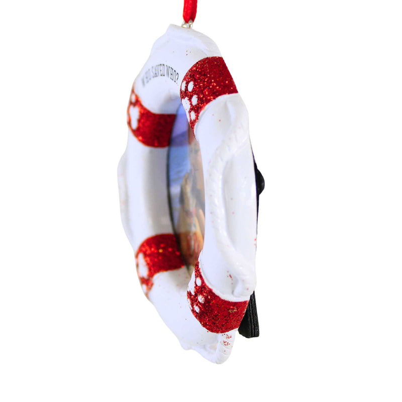 Polarx Who Saved Who Picture Frame Ornament - - SBKGifts.com