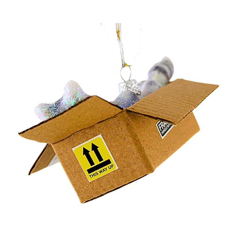 Cody Foster Best Cat Toy - - SBKGifts.com