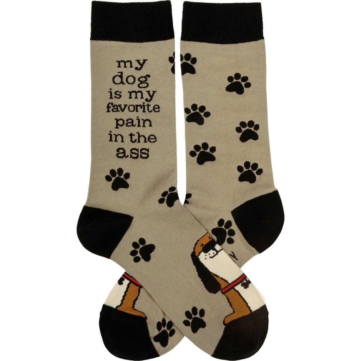Primitives By Kathy My Dog Is My Favorite Pain In The Ass Sock - - SBKGifts.com