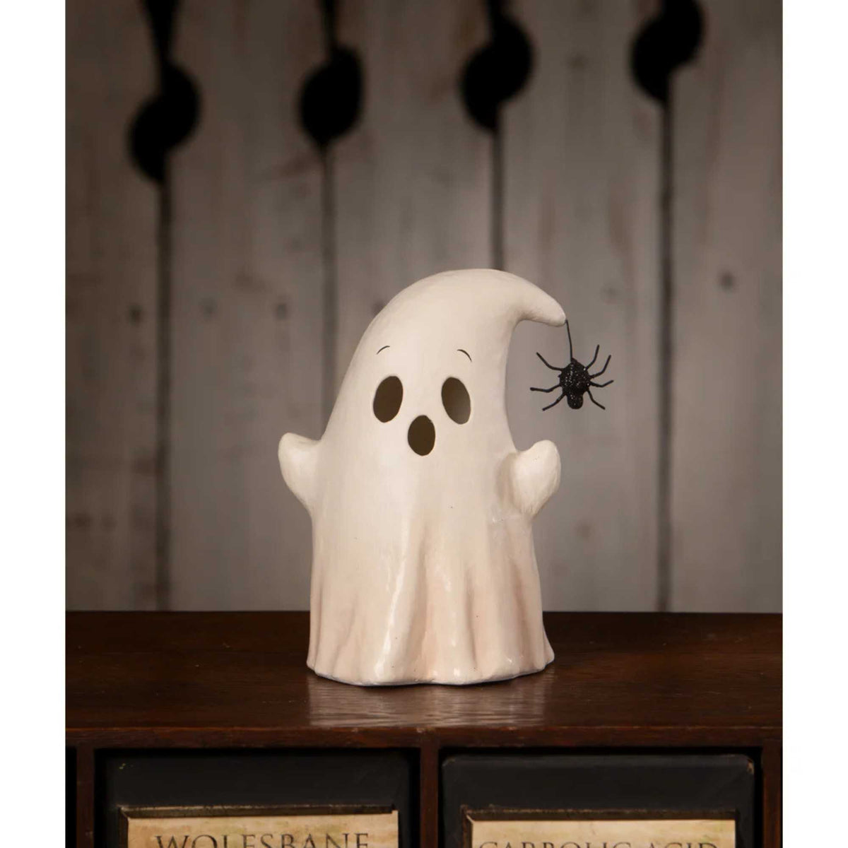 Bethany Lowe Luminary Boo With Spider - - SBKGifts.com