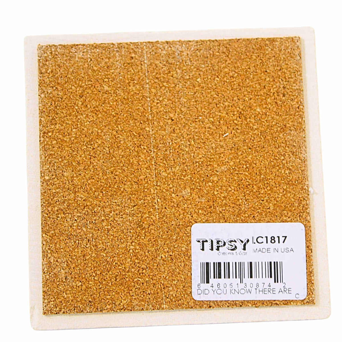 Tipsy Coasters Did You Know There Are Two Places Coaster - - SBKGifts.com