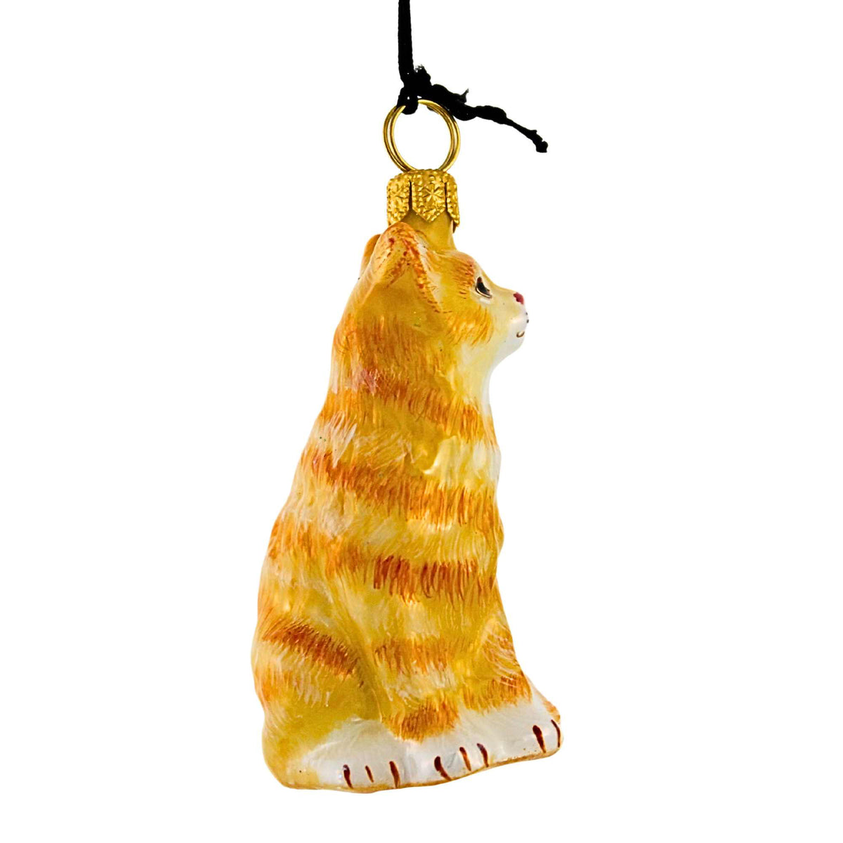 Joy To The World Orange American Shorthair Cat - - SBKGifts.com
