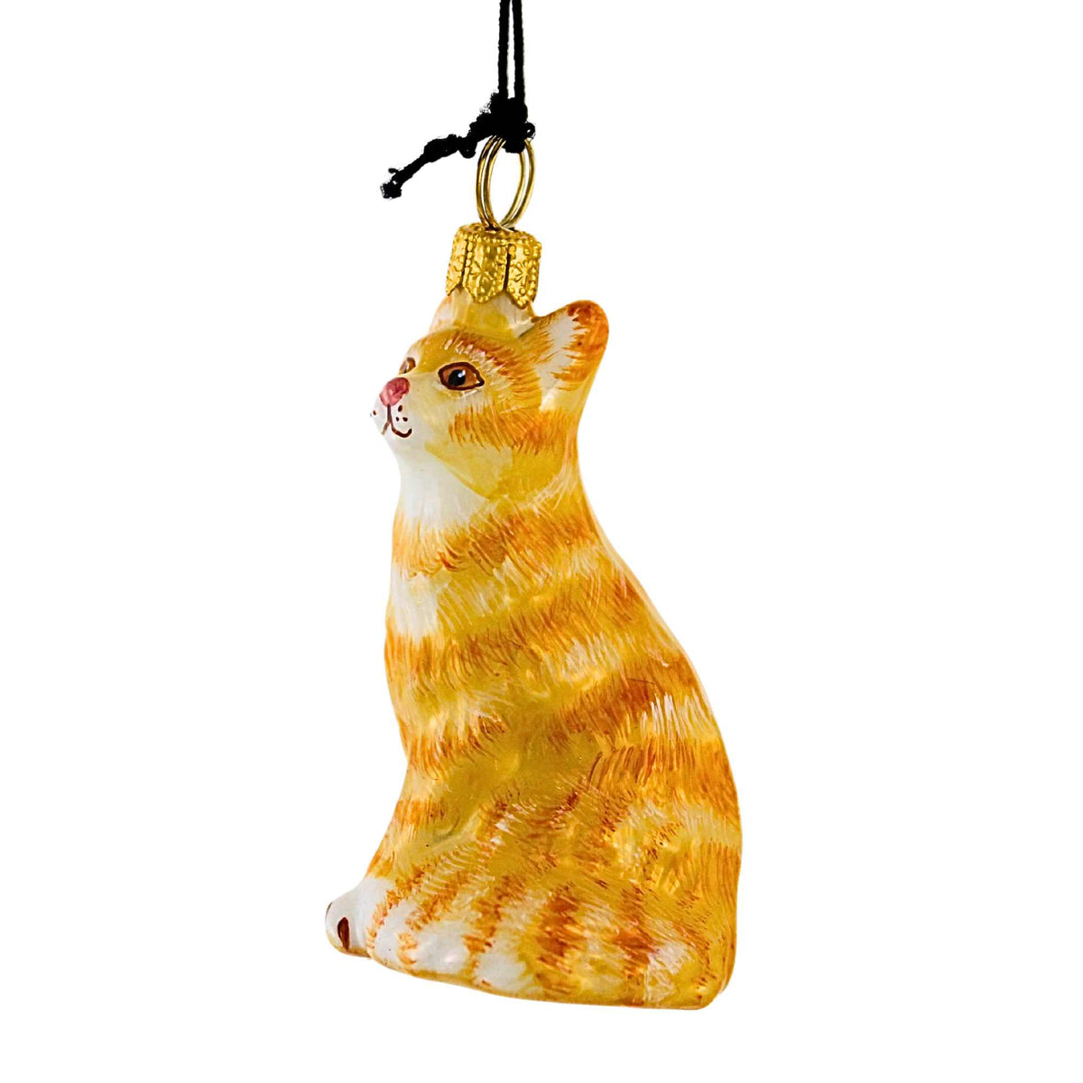 Joy To The World Orange American Shorthair Cat - - SBKGifts.com