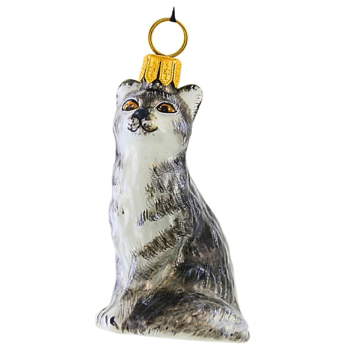 66266 Gray American Shorthair Cat ZKP1892GY