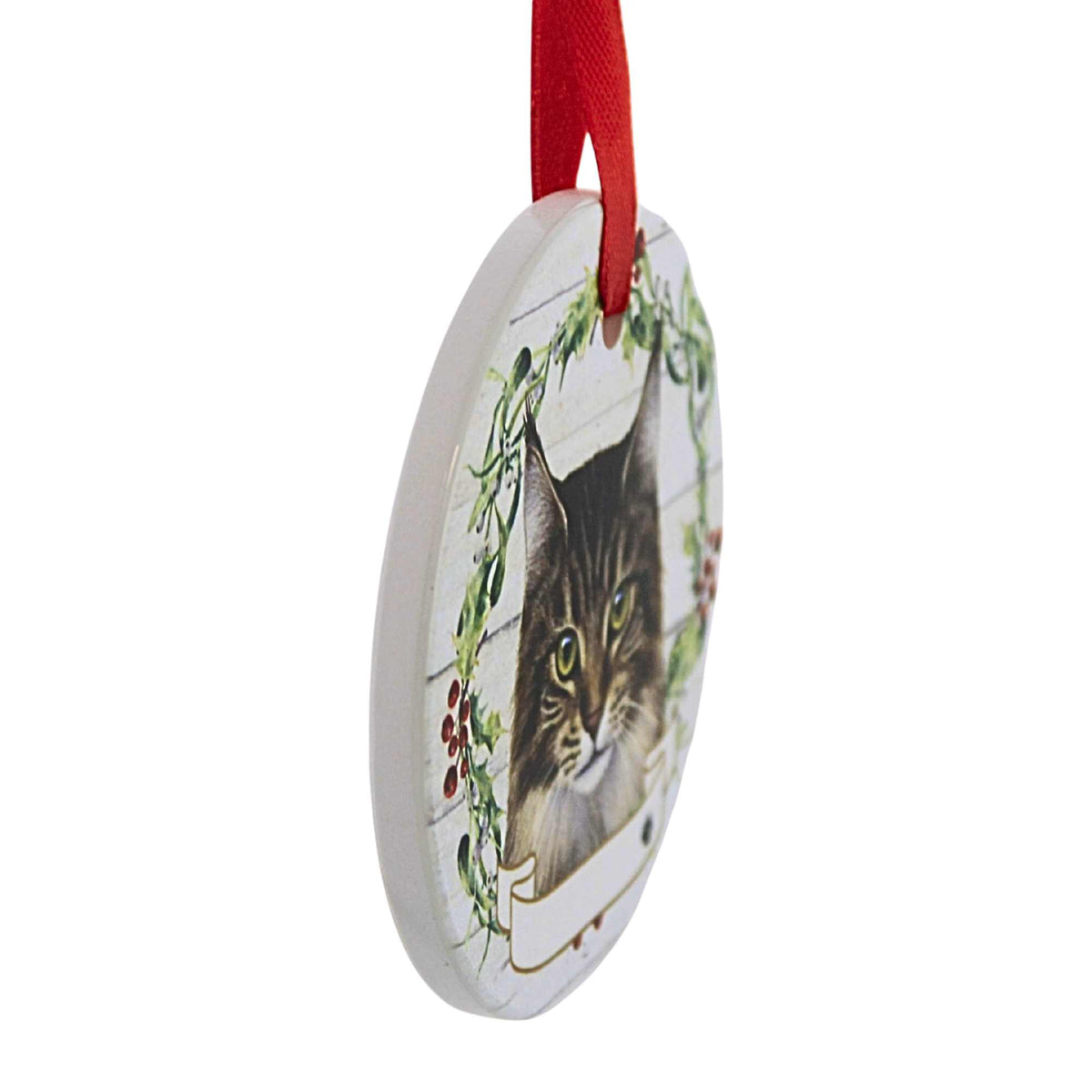 E & S Imports Ceramic Maine Coon Cat Ornament - - SBKGifts.com