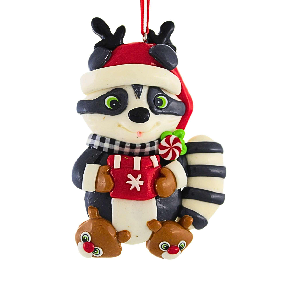 Raccoon