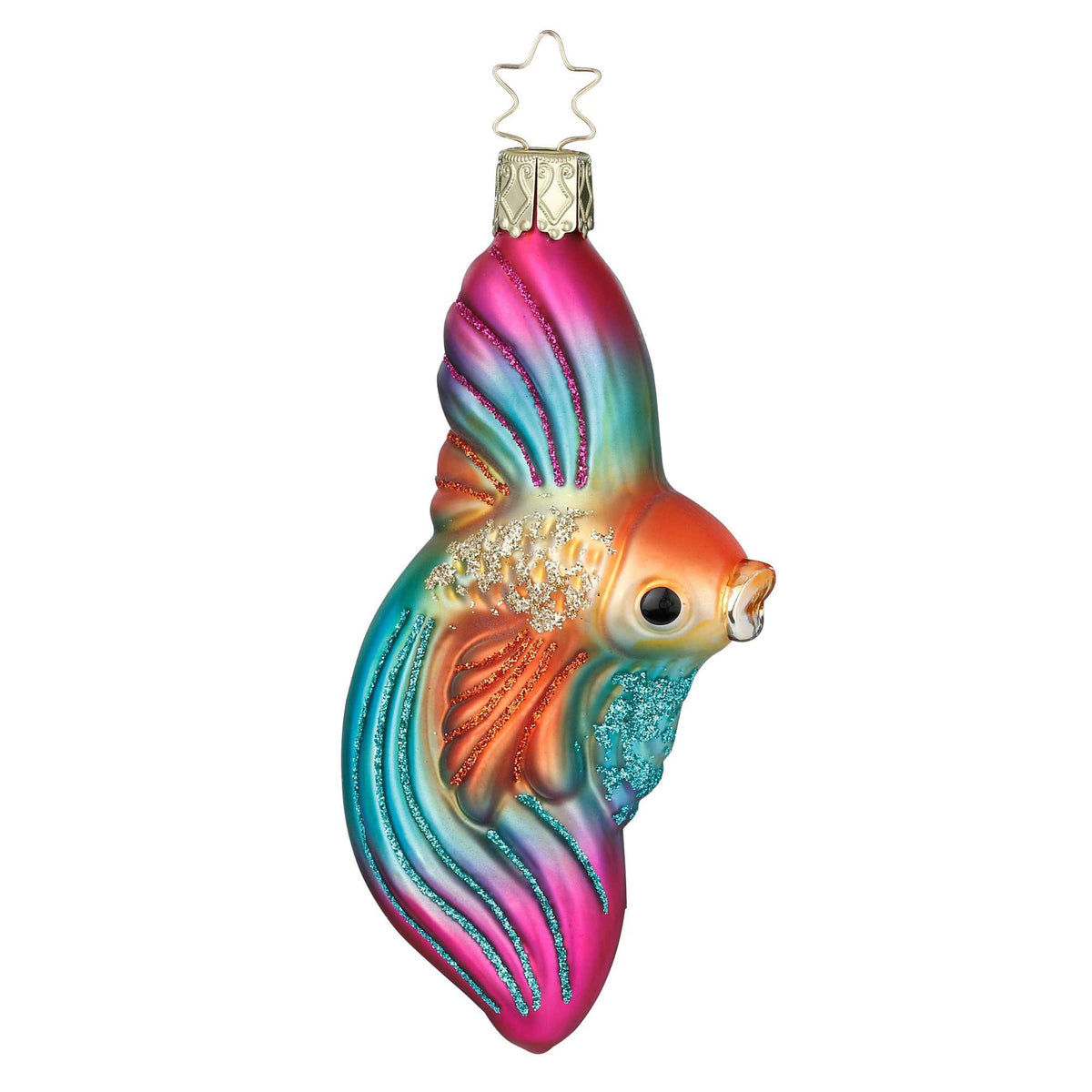 67157 Veil Angelfish 10160S026