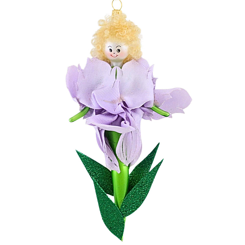Lt Purple