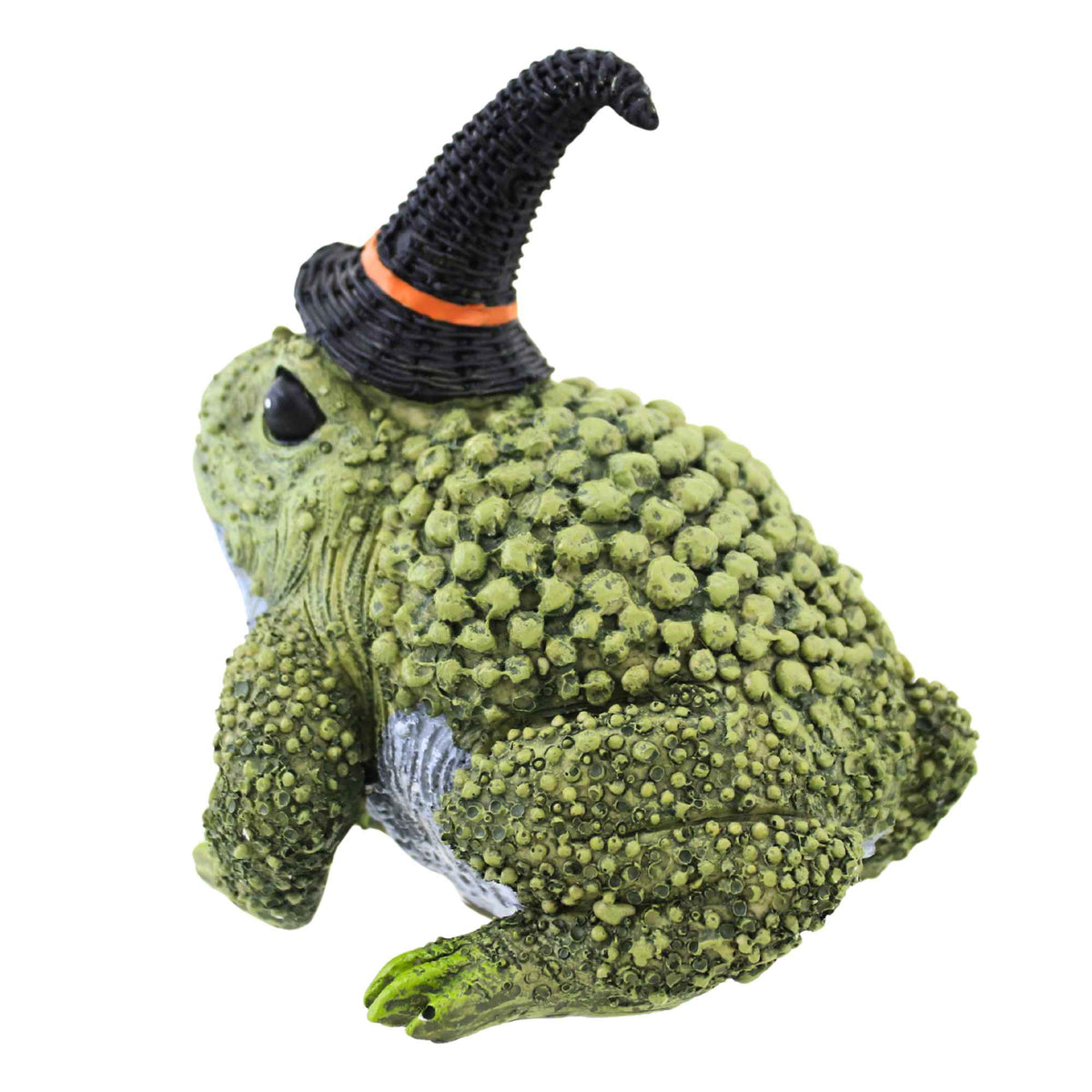 Transpac Resin Frog Witch - - SBKGifts.com