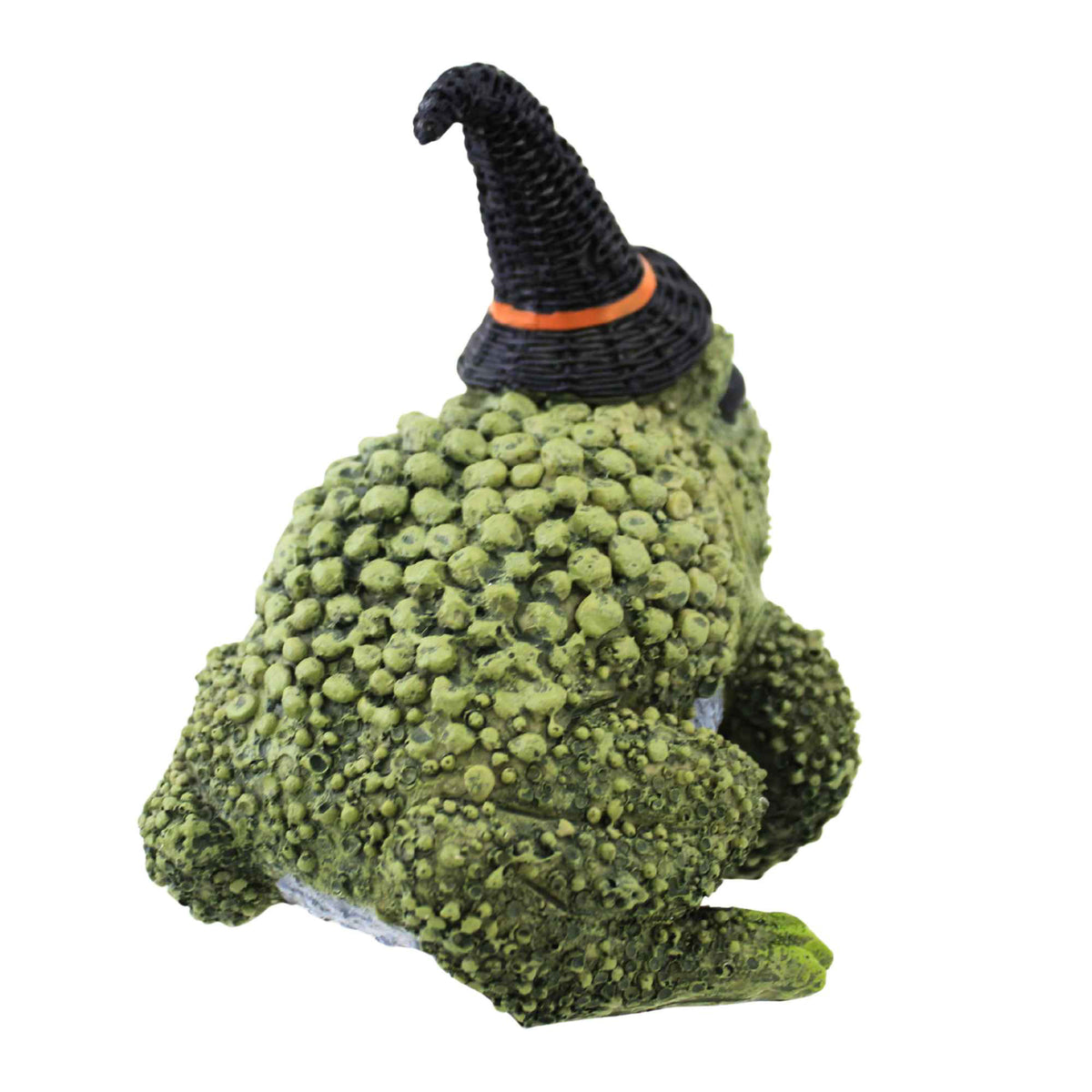 Transpac Resin Frog Witch - - SBKGifts.com