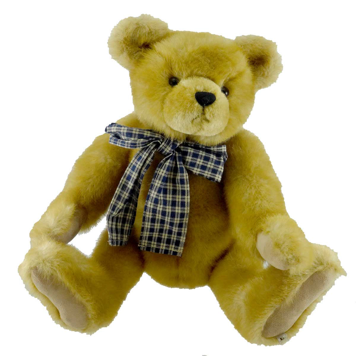 (8118) Randolph
