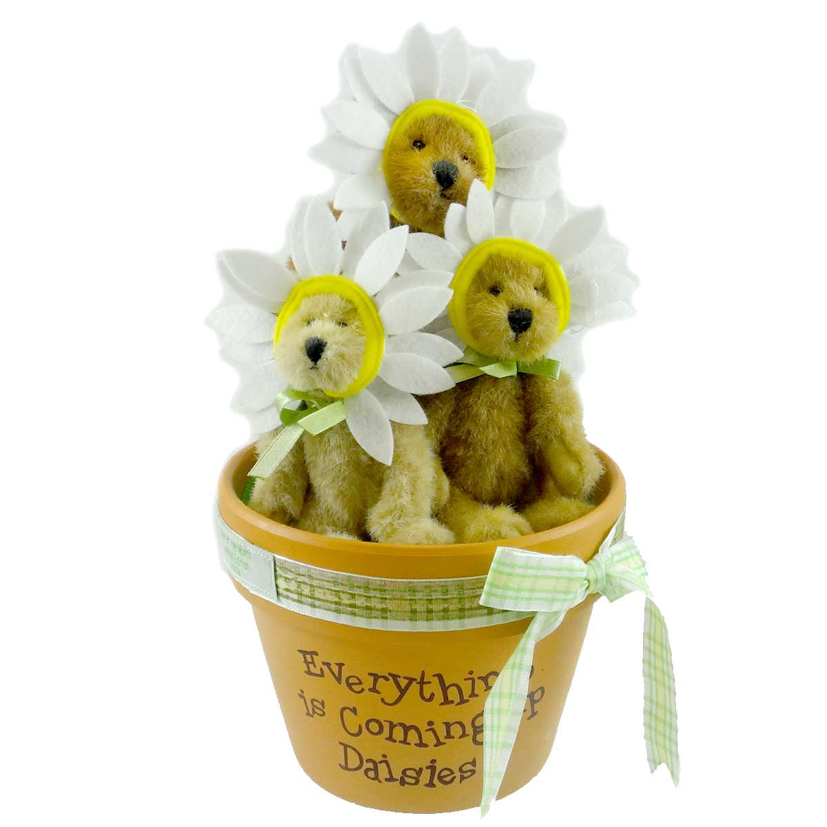 (8248) Whoops A Daisies