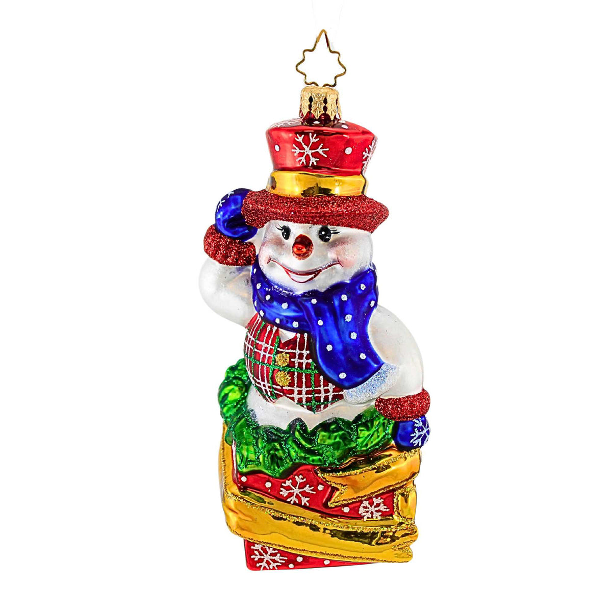 (8429) Snowy Parcel Pal
