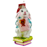 Christopher Radko A Shy Rabbits Heart Blown Glass Ornament Bunny Charity (998)