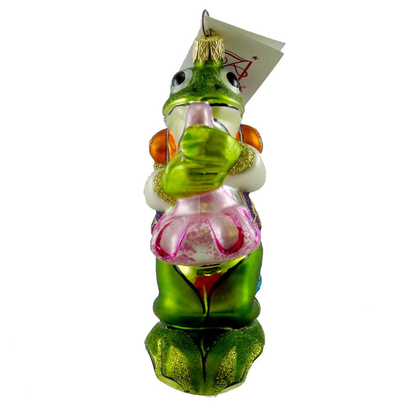 (13569) Frog Musician