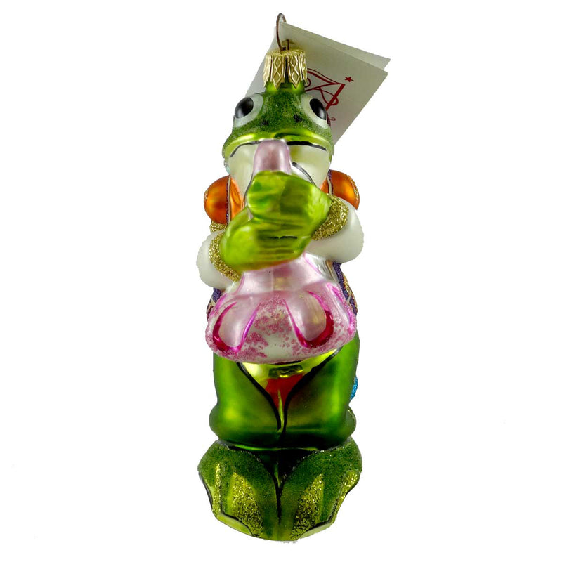 Holiday Ornament Frog Musician Glass Abigail Musical Music V24142ac (13569)