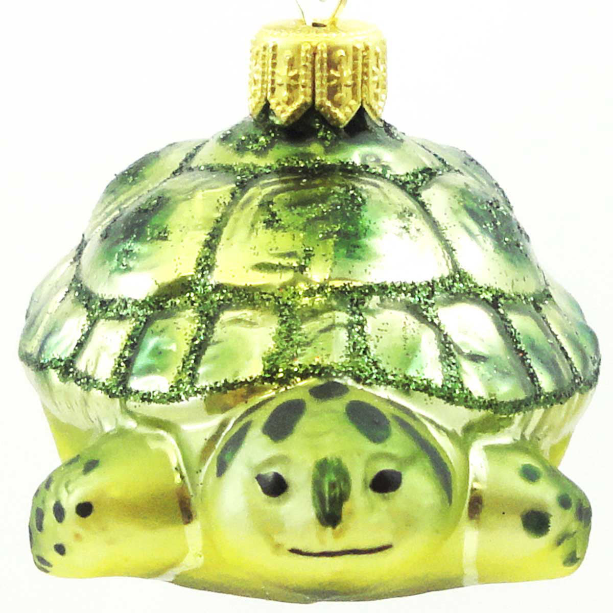 (16695) Green Turtle