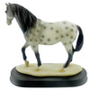Animal Horse Black - - SBKGifts.com