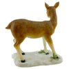 Animal Forest Frolic - - SBKGifts.com