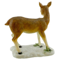 Animal Forest Frolic - - SBKGifts.com