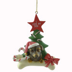 Personalized Ornaments ROTTWEILER Resin Dog  Christmas Tree C3346