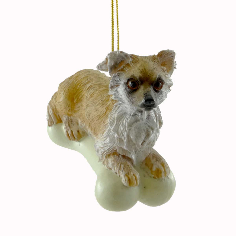 Personalized Ornaments Chihuahua On Bone Resin Puppy Dog Christmas C3291 (20799)
