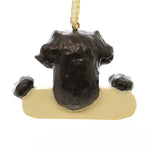 Personalized Ornaments Chocolate Lab - - SBKGifts.com