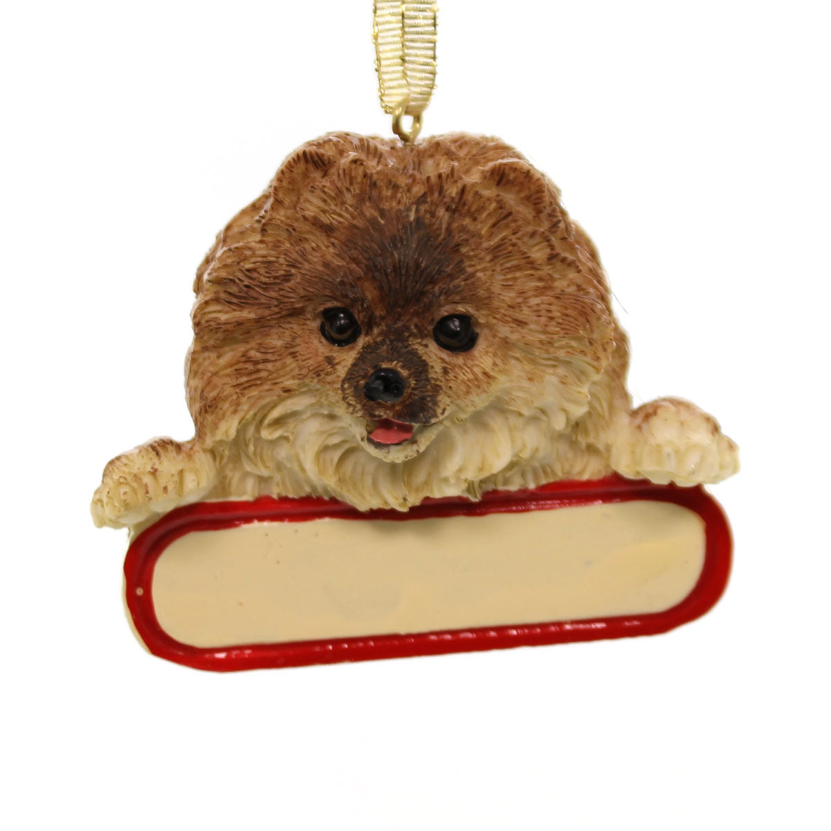 (20905) Pomeranian