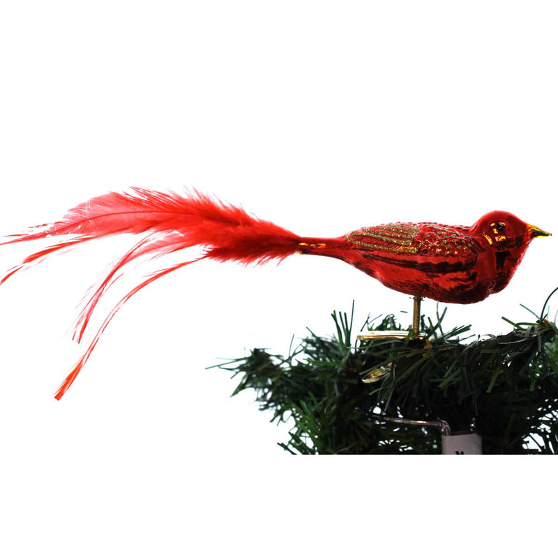 Old World Christmas Shiny Red Songbird Glass Happiness Joy Christmas 18018 (23031)