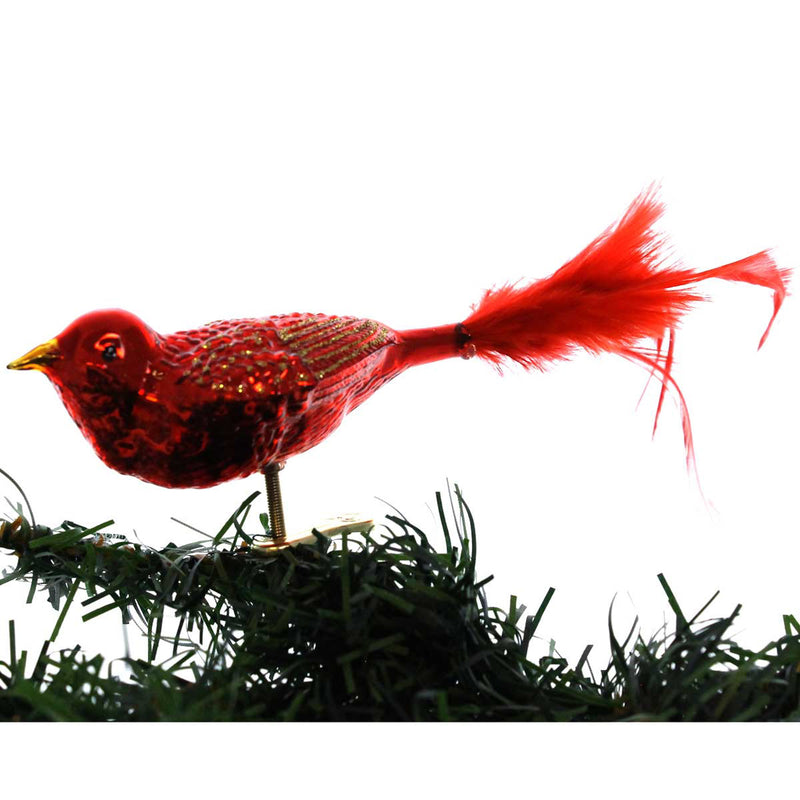 Old World Christmas Shiny Red Songbird - - SBKGifts.com