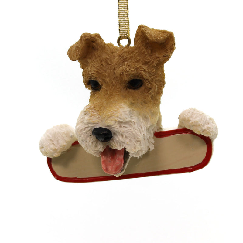 (24101) Wire Fox Terrier