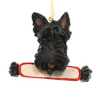 Personalized Ornaments SCOTTISH TERRIER Polyresin Christmas Dog Puppy 21835