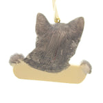 Personalized Ornaments Silver Tabby - - SBKGifts.com