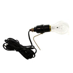 Home & Garden Lantern Light Cord Glass Electrical Department 56 34688 New (25086)