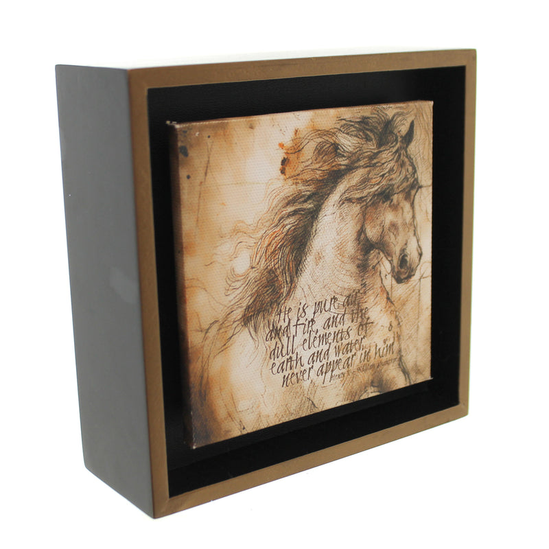 Animal Lp Horse Pure Air Shadow Box - - SBKGifts.com