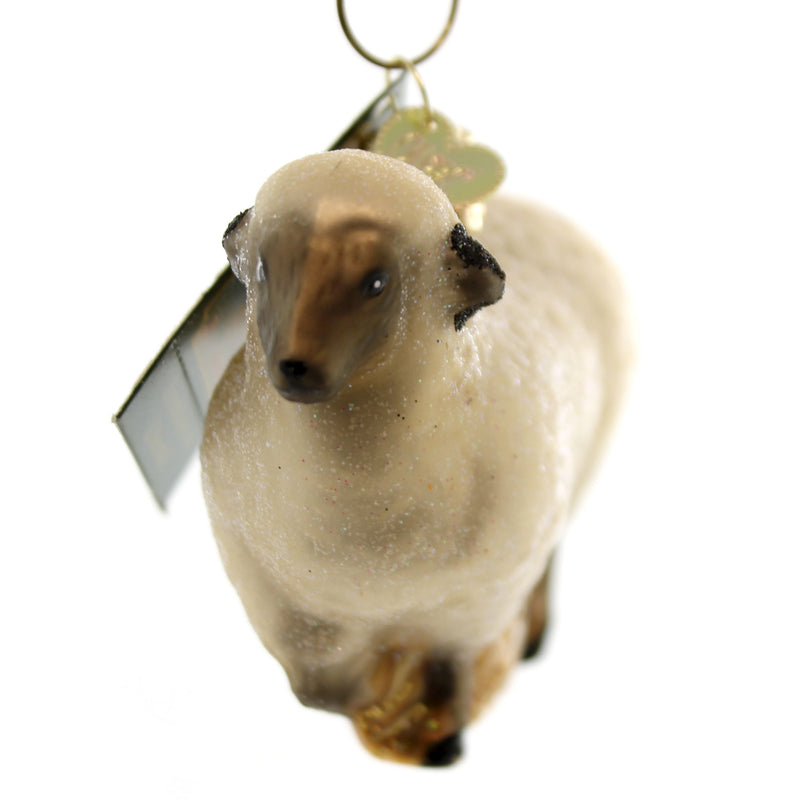 Old World Christmas Sheep - - SBKGifts.com