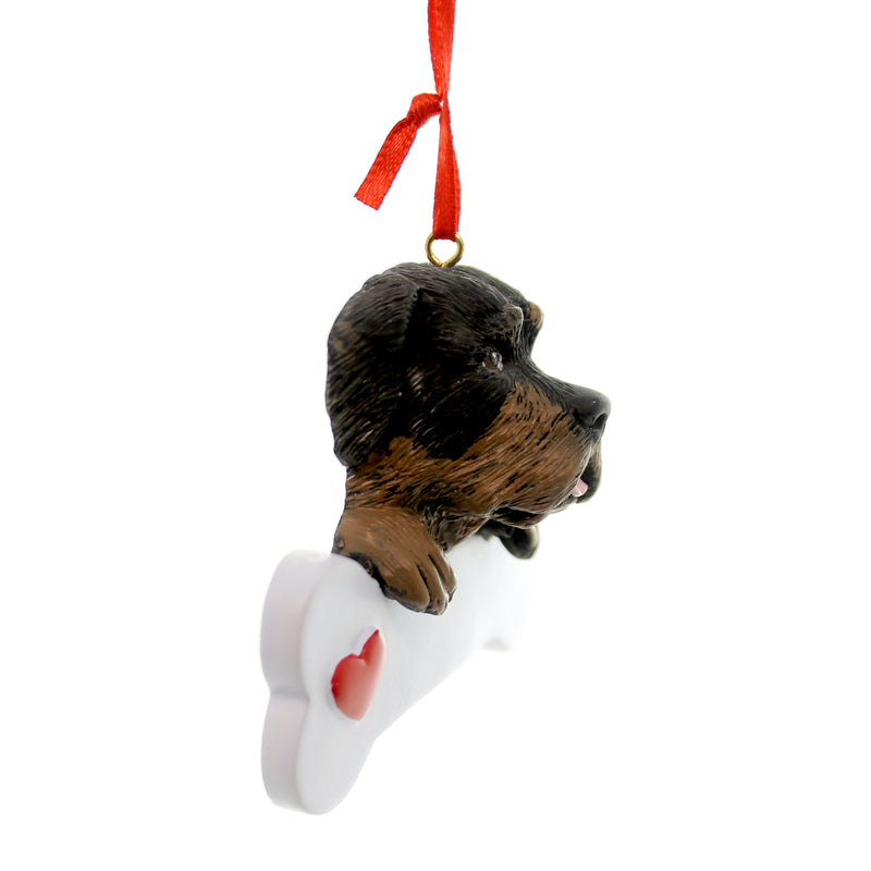 Personalized Ornament Rottweiler - - SBKGifts.com