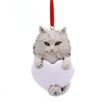 Personalized Ornament Persian Cat Polyresin Kitten Christmas Feline 545 (31226)