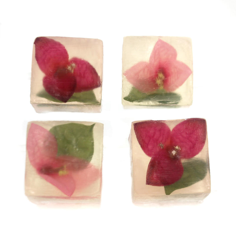 Health And Beauty BOUGAINVILLEA SOAP CUBES Other 4 Piece Gift Set, Flower 5118.