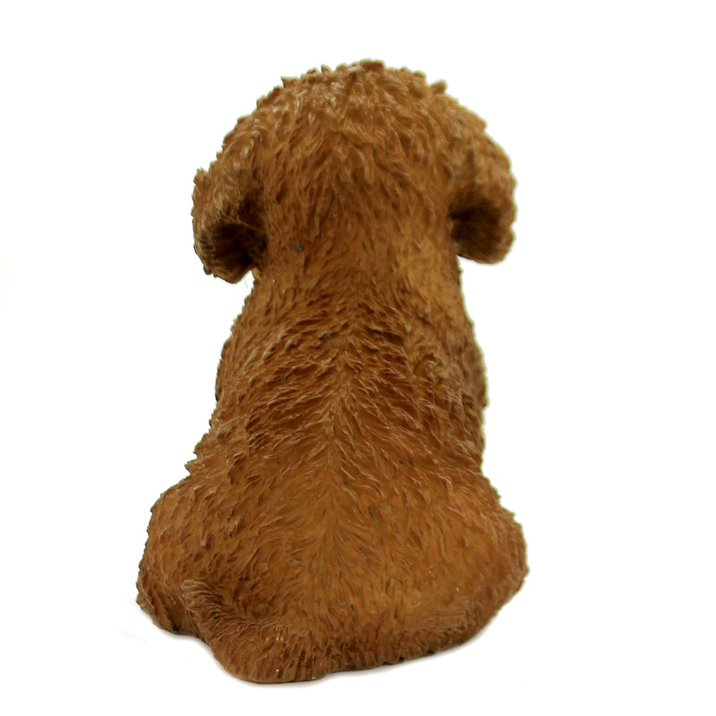Animal Bichon Frise Puppy - - SBKGifts.com