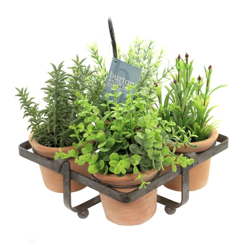 Home Decor Floral / Herb Caddy Set / 5 Metal Spring Garden Spices 9729915 (40400)
