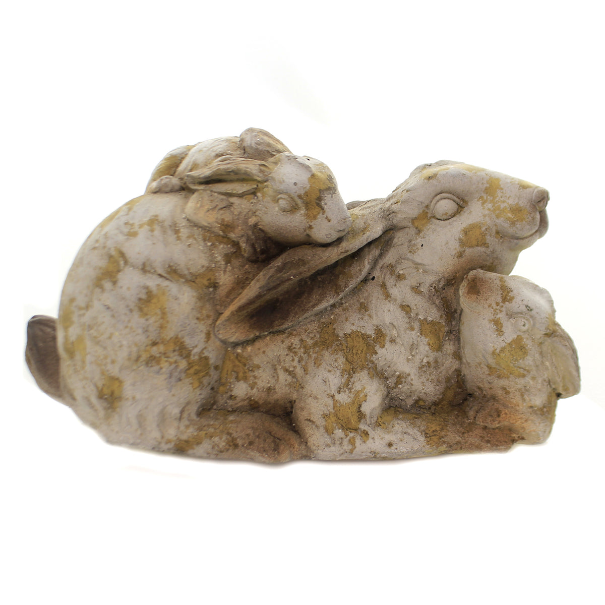(40654) Rabbit Family