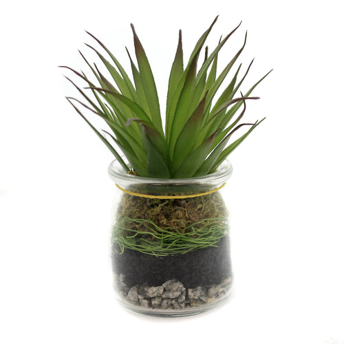 Home Decor Aloe Succulent Jar - - SBKGifts.com