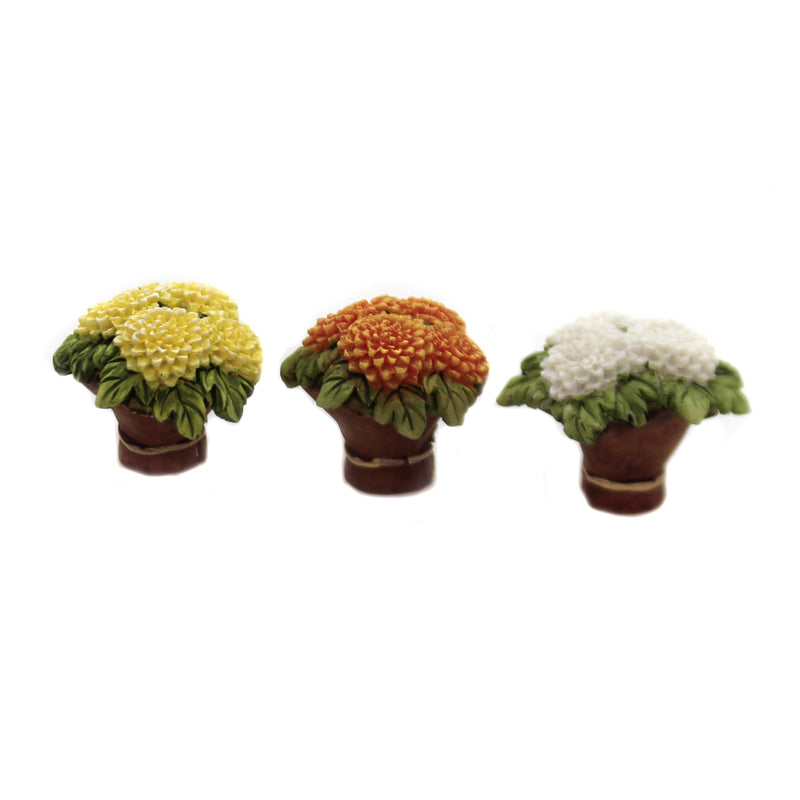 Department 56 Accessory Mums For Mom - - SBKGifts.com
