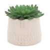 (42292) Home & Garden Square Face Planter, 4.00 Inch, Succulent 102446
