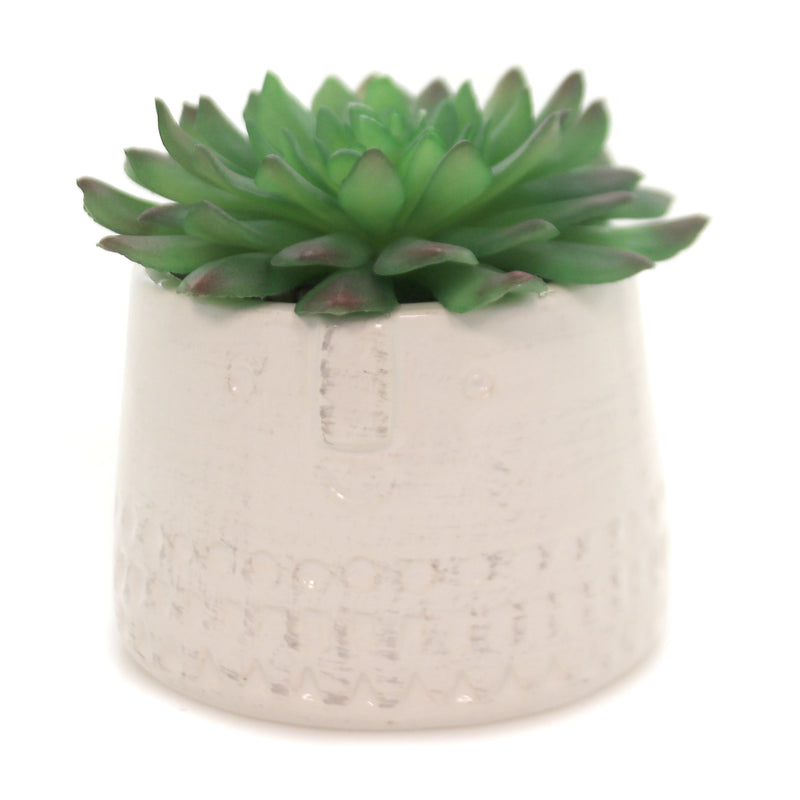 (42292) Home & Garden Square Face Planter, 4.00 Inch, Succulent 102446