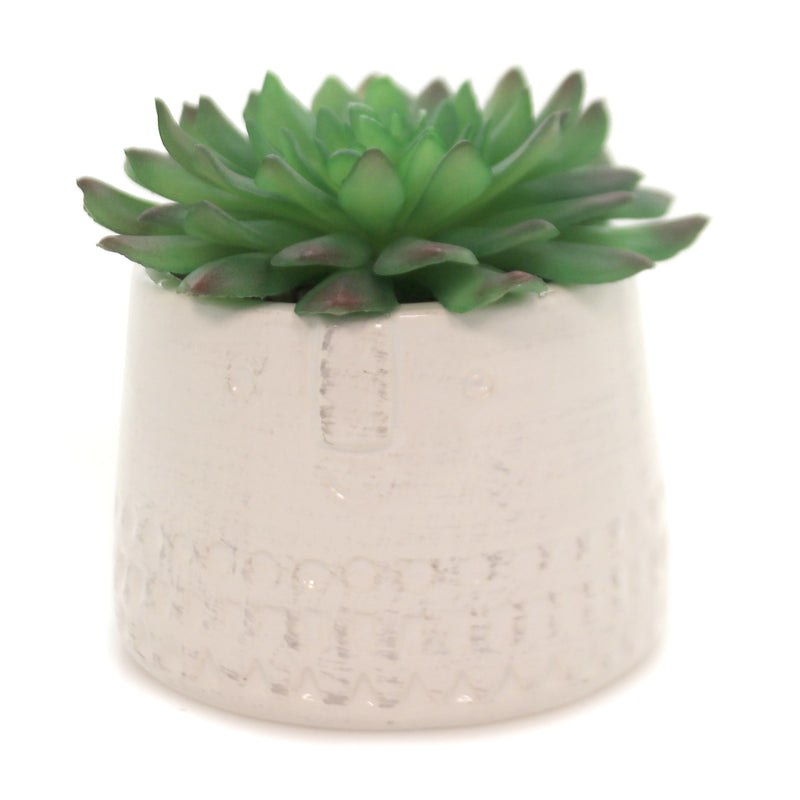 Home & Garden Square Face Planter Ceramic Succulent 102446 (42292)