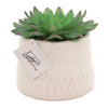Home & Garden Square Face Planter - - SBKGifts.com