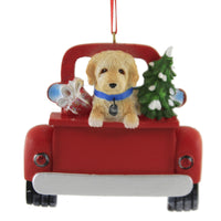 LABRADOODLE