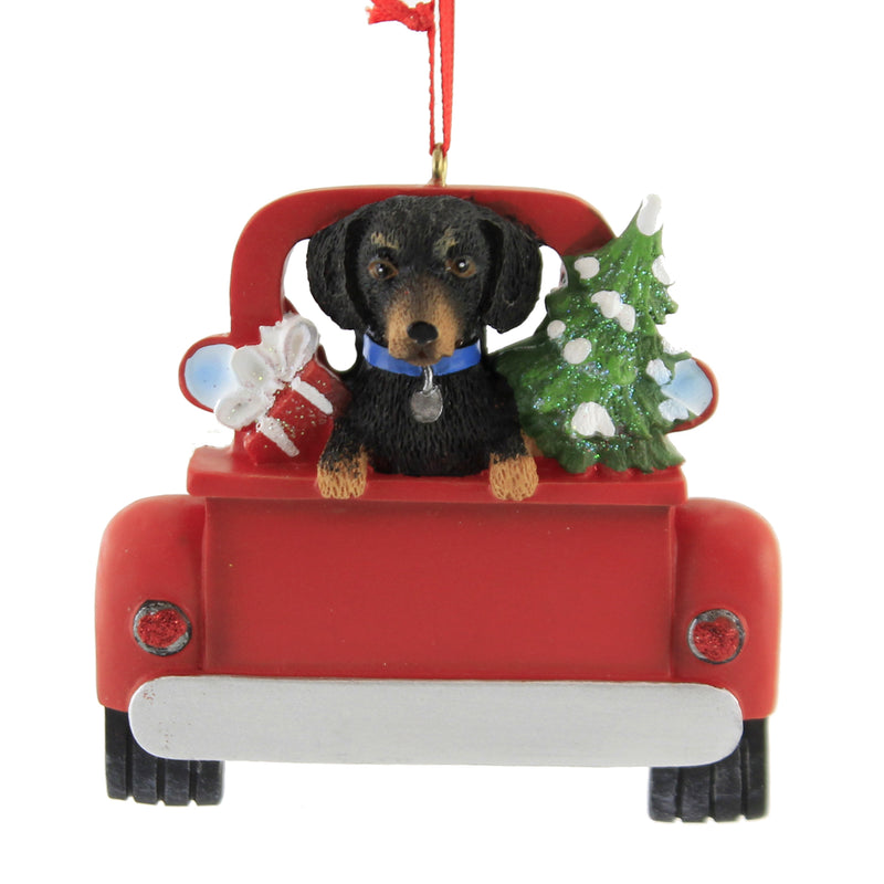 DACHSHUND
